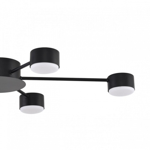 Потолочная люстра Lumion TORINA 8344/6C в Нижнем Новгороде фото 6