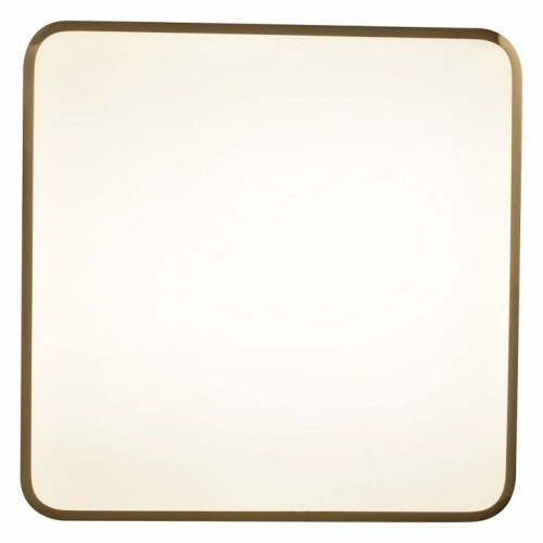 Накладной светильник Zortes Monna ZRS.1209.03 в Нижнем Новгороде фото 4