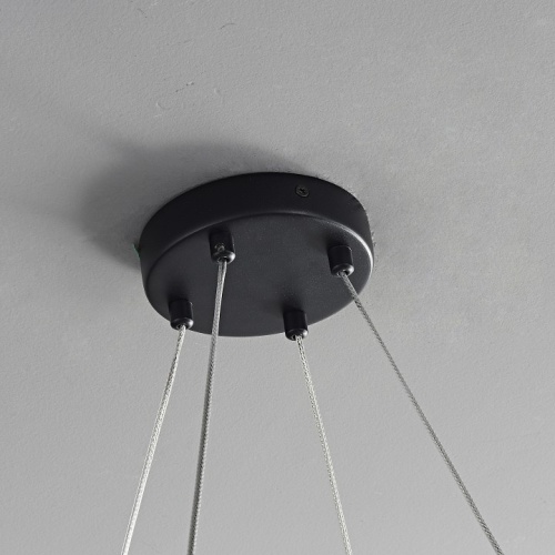 Подвесная люстра Zortes Dallas ZRS.90611.08 в Нижнем Новгороде фото 3