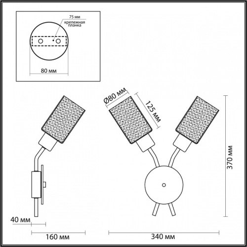Бра Lumion Fern 4492/2W в Нижнем Новгороде фото 2