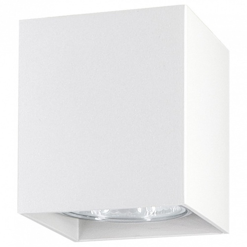 Накладной светильник Ambrella Light TN TN213139 в Нижнем Новгороде