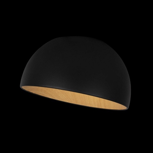 Накладной светильник Loft it Egg 10197/350 Black в Ревде фото 5