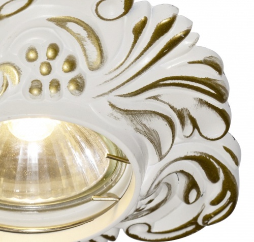 Встраиваемый светильник Arte Lamp Occhio A5285PL-1SG в Нижнем Новгороде фото 2