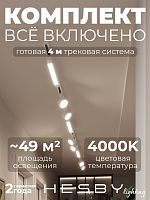 Комплект трековый Hesby Lighting Skylite №14 HSBL_kompl_S014_NI4W4K в Нижнем Новгороде