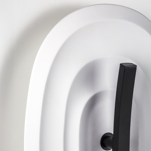 Накладной светильник Lightstar Erica 609646 в Нижнем Новгороде фото 2