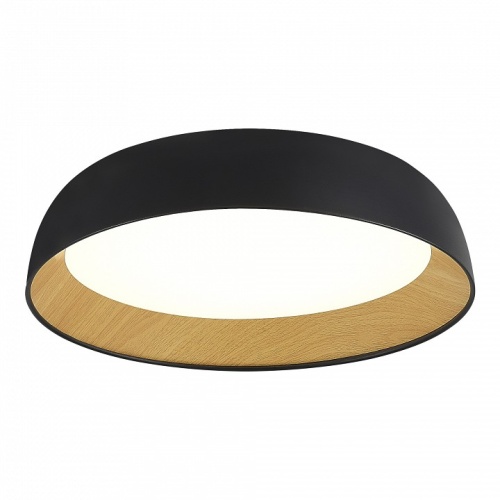 Накладной светильник EVOLUCE MUSE SLE1812-402-01 в Нижнем Новгороде фото 7