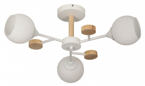 Люстра на штанге Rivoli Chiara Б0068427 в Нижнем Новгороде фото 10