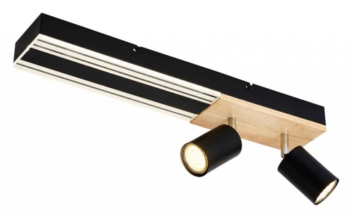 Накладной светильник F-promo Olika 4437-2C в Нижнем Новгороде