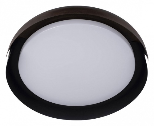 Накладной светильник Loft it Coin 10198 Black в Нижнем Новгороде фото 5