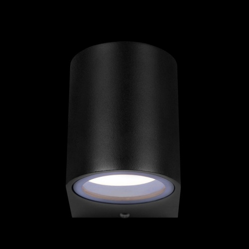 Накладной светильник Loft it Eterno 100006/A в Нижнем Новгороде фото 5