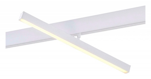 Светильник на штанге ST-Luce ST802 ST802.546.12 в Нижнем Новгороде фото 4