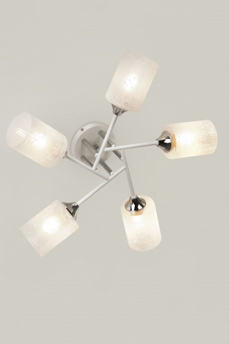 Потолочная люстра Rivoli Federica Б0068392 в Нижнем Новгороде фото 4