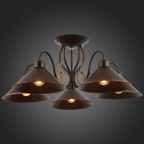 Люстра на штанге EVOLUCE Ciolla SLE120402-05 в Нижнем Новгороде фото 2