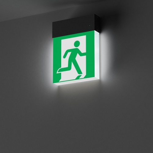 Светильник-указатель Arlight EMG-MARK 059801 в Нижнем Новгороде фото 4