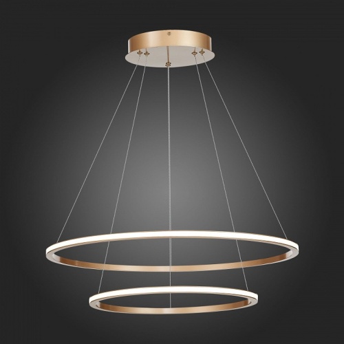 Подвесной светильник ST-Luce ST604 OUT ST604.243.56 в Нижнем Новгороде фото 2