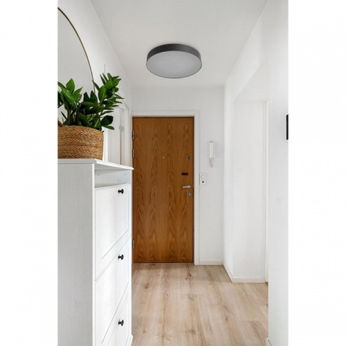 Накладной светильник Sonex BASICA 7780/DLN в Нижнем Новгороде фото 2