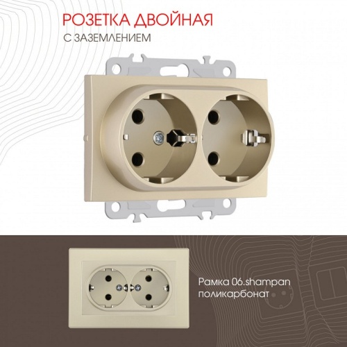 Розетка двойная с заземлением, без рамки Arte Milano am-206 206.40-2.shampan в Нижнем Новгороде фото 4