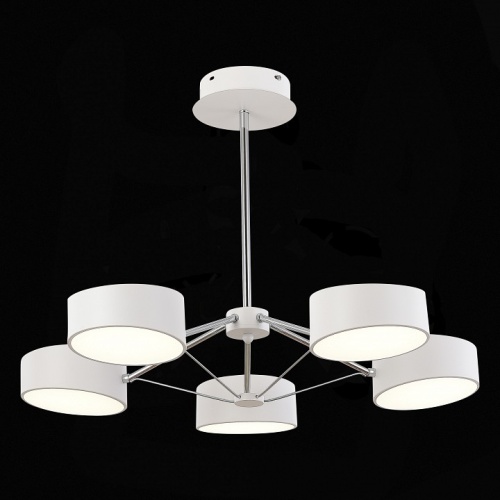 Люстра на штанге EVOLUCE Valle SLE6005-502-05 в Нижнем Новгороде фото 3