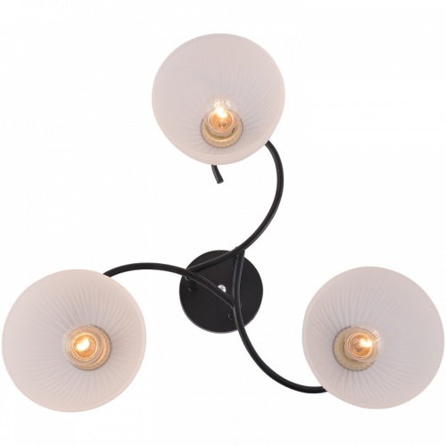 Люстра на штанге 01635-0.3-03 BK+CR в Нижнем Новгороде фото 5