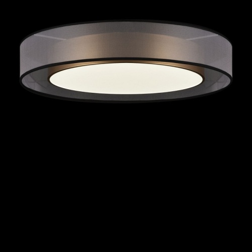 Накладной светильник Freya Zoticus FR6005CL-L48G в Нижнем Новгороде фото 4