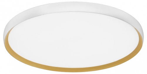 Накладной светильник EVOLUCE HELST SLE1810-502-01 в Нижнем Новгороде