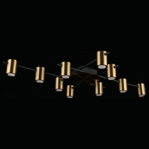 Потолочная люстра Aployt Elwisia APL.633.07.10 в Нижнем Новгороде фото 4