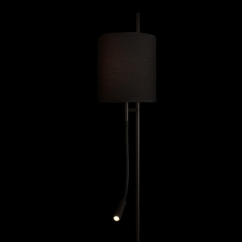Торшер с подсветкой Loft it Ritz 10253F/B Black в Фокино фото 4