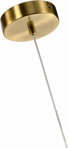 Подвесной светильник Zortes Dalin ZRS.90609.01 в Нижнем Новгороде фото 5