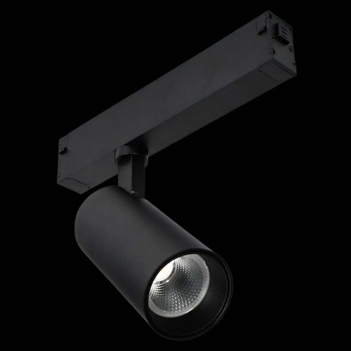 Светильник на штанге ST-Luce ST660 ST660.496.20 в Нижнем Новгороде фото 3