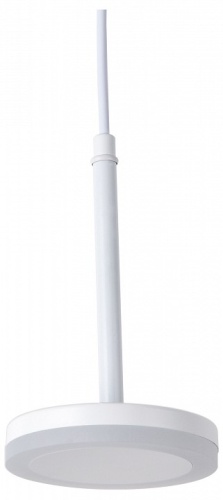 Подвесной светильник Favourite Sarkal 3078-1P в Соколе