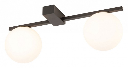 Накладной светильник Nowodvorski Pik 10300 в Нижнем Новгороде фото 4