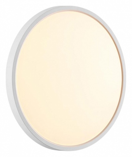 Накладной светильник Sonex Alfa White 7659/24L в Нижнем Новгороде фото 3