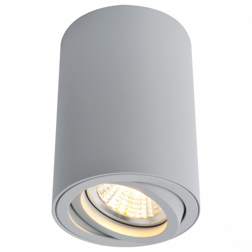 Накладной светильник Arte Lamp Sentry A1560PL-1GY в Кушве