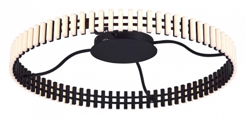 Потолочная люстра ST-Luce Estense SL6203.402.50 в Нижнем Новгороде фото 4