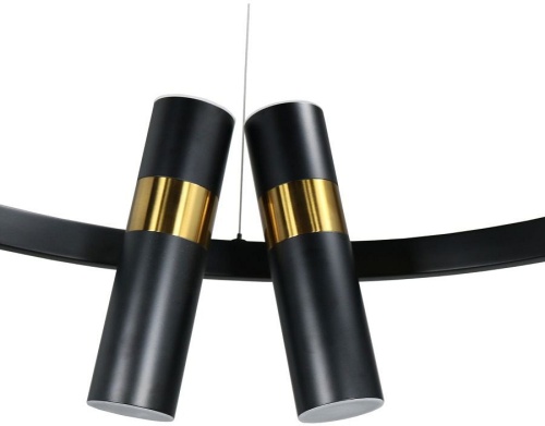 Подвесная люстра Zortes Tweeny ZRS.1828.60 в Нижнем Новгороде фото 8