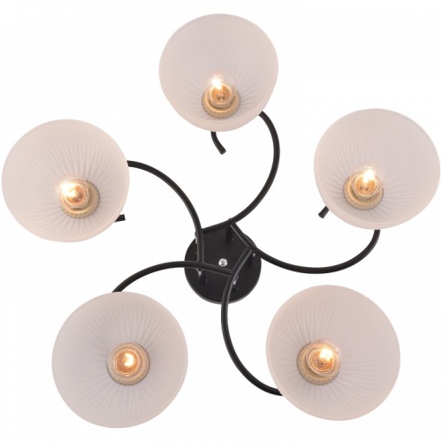 Люстра на штанге 01635-0.3-05 BK+CR в Нижнем Новгороде фото 5