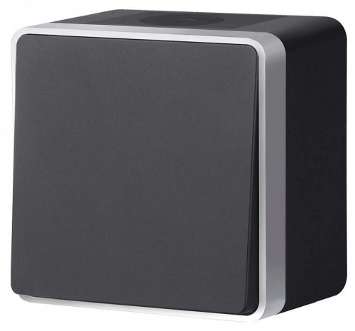 Выключатель одноклавишный влагозащищенный Werkel Gallant (черный с серебром) W5010234 в Нижнем Новгороде