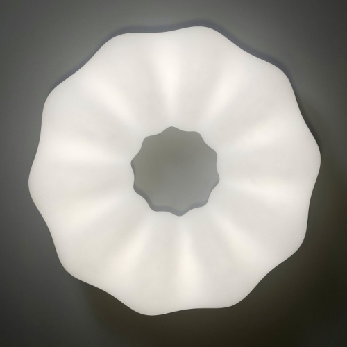 Накладной светильник Zortes Soft ZRS.1118.4 в Нижнем Новгороде фото 14