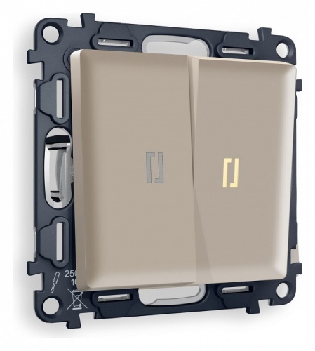 Выключатель двухклавишный с подсветкой без рамки Ambrella Volt ALFA MA364010 в Нижнем Новгороде