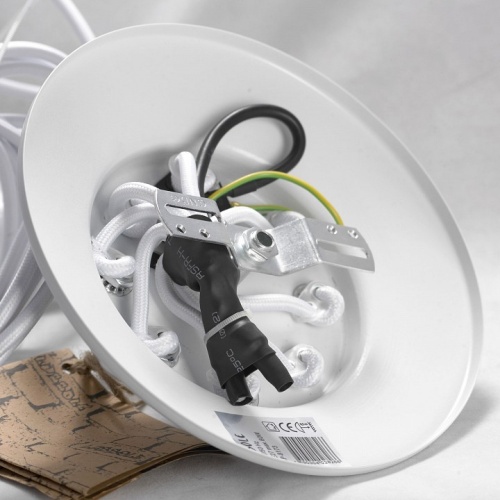 Подвесная люстра Lussole Shirley GRLSP-8173 в Нижнем Новгороде фото 2