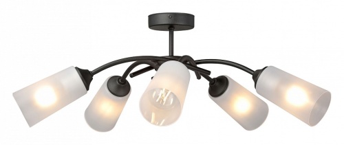 Люстра на штанге Vitaluce V2850 V2850-1/5PL в Нижнем Новгороде фото 2