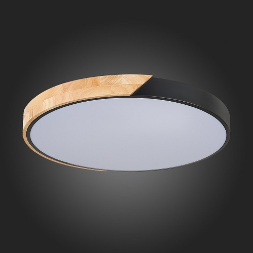 Накладной светильник EVOLUCE Festa SLE200942-01 в Нижнем Новгороде фото 9