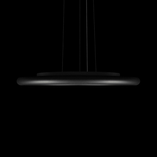 Подвесной светильник Loft it Sweety 10454/500P Black в Нижнем Новгороде фото 4