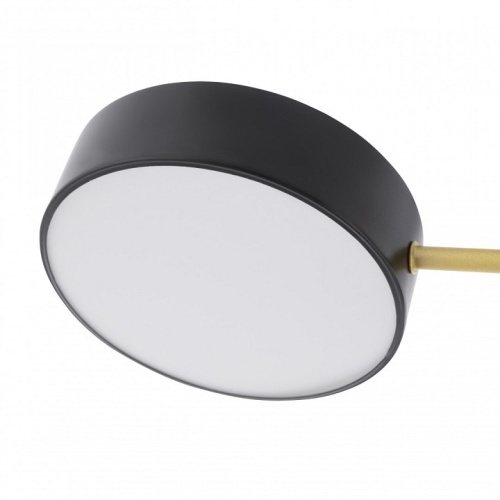 Потолочная люстра Arte Milano Ferrara 252006/5 Bk/Bk в Нижнем Новгороде фото 2