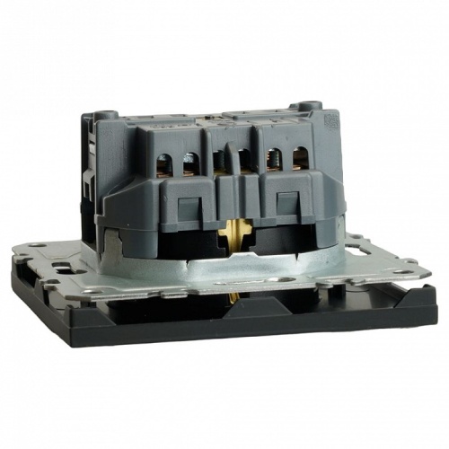 Розетка с заземлением и со шторкой, без рамки Stekker Эмили 49854 в Нижнем Новгороде фото 2