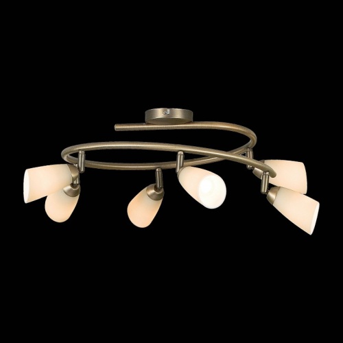 Спот Citilux Белла CL501163 в Нижнем Новгороде фото 3