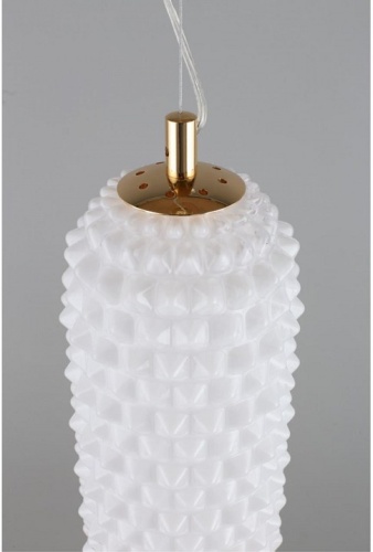 Подвесной светильник Aployt Ozeynn APL.332.06.22 в Нижнем Новгороде фото 16