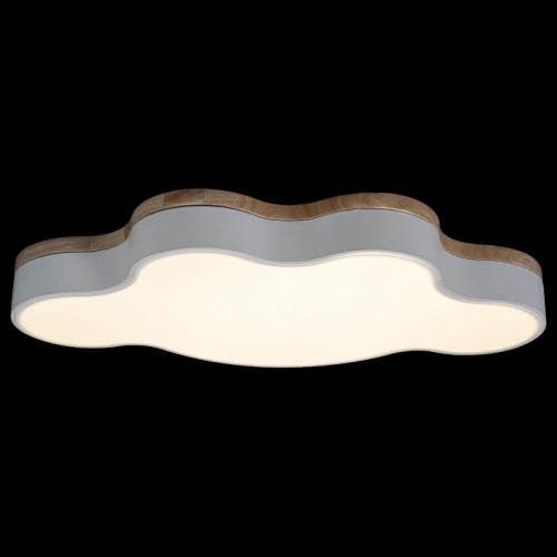 Накладной светильник Loft it Axel 4 10005/36 White в Нижнем Новгороде фото 4