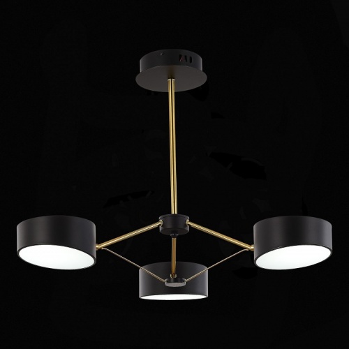 Люстра на штанге EVOLUCE Valle SLE6005-402-03 в Нижнем Новгороде фото 4