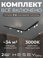 Комплект трековый Hesby Lighting Skylite №1 HSBL_kompl_S014_NL2B3K в Нижнем Новгороде